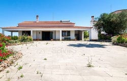 Moura, Beja
