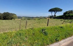 Leiria, Leiria District