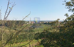 Carvalhal Benfeito, Leiria District