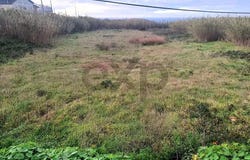 Peniche, Leiria District 2520-200