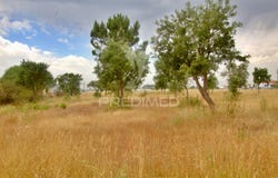 Glória do Ribatejo e Granho, Salvaterra de Magos, Santarém District