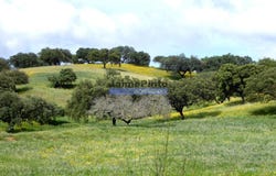 Amieira e Alqueva, Évora 7220