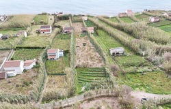 Ilha de São Miguel, Azores