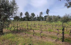 Vilar Seco, Viseu District