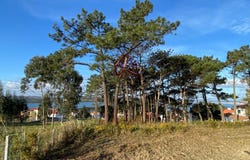 Nadadouro, Leiria 2500