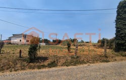 Antas, Braga