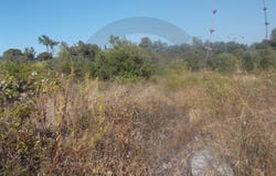 Brogueira, Santarém District