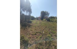 Requeixo, Aveiro District
