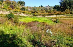 Santa Marinha do Zêzere, Porto District