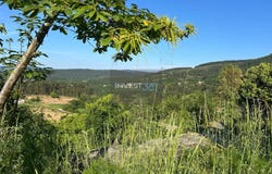 Covas, Viana do Castelo District