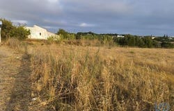 Albufeira, Faro 8200-184