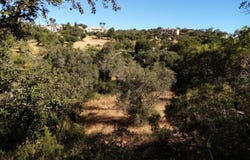 São Sebastião, Algarve