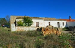 Loule, Faro