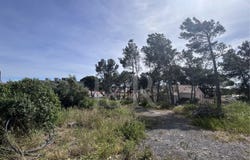 Alcabideche, Lisbon