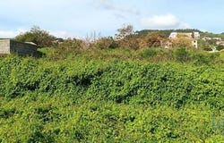 Santa Cruz, Ilha da Madeira 9125-065