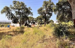 Quinta Do Anjo, Setúbal 2950