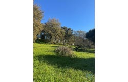 Leiria, Leiria District