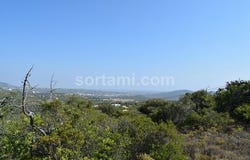 Loule, Faro