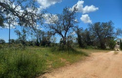 Silves, Algarve