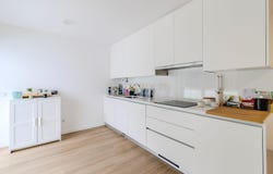 Leiria, Leiria District