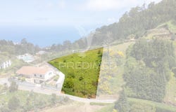 Camacha, Santa Cruz, Madeira