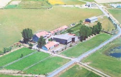 Boidobra, Castelo Branco District