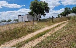 Torrão, Alcácer do Sal, Setubal