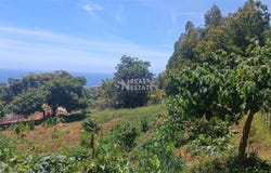 Santo Antônio, Madeira 9020