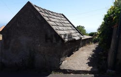 Canhas, Madeira 9360