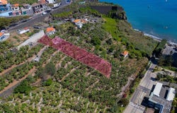 São Martinho, Madeira 9000