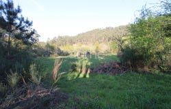 Fafe, Braga