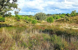 GRÂNDOLA, Setubal