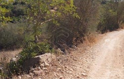 Paderne, Algarve