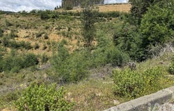 Leiria, Leiria District