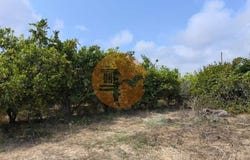 Quinta da Foz, Tavira, Faro 8800-255