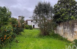Santarém, Santarém District