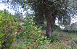 Fundão, Castelo Branco District