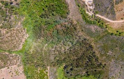 Aljezur, Algarve 8670