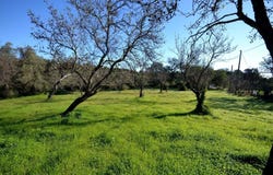 Loulé (São Sebastião), Algarve 8100