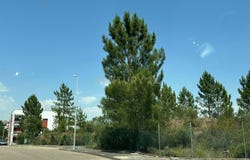 Mação, Santarém District