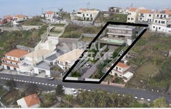 Canhas, Madeira 9360