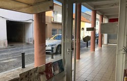 Cantanhede e Pocariça, Coimbra District