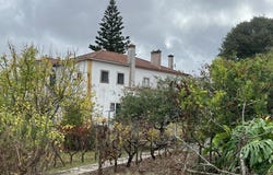 Dois Portos, Lisbon 2565