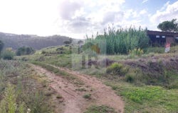 Caldas da Rainha, Leiria District