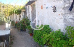 Nazaré, Leiria 2450