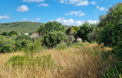 São Clemente, Algarve