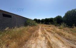 Castelo Branco, Castelo Branco 6000-730