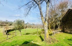 Bodiosa, Viseu District