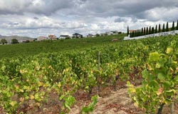 Alijó, Vila Real District