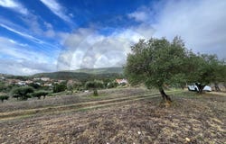 Pedrógão, Santarém District